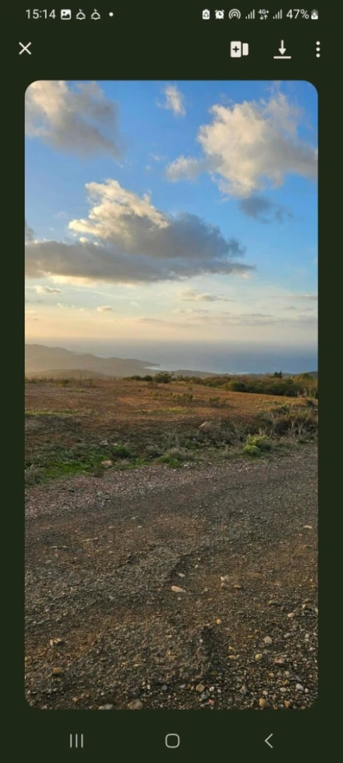 Vente Terrain Tipaza Cherchell