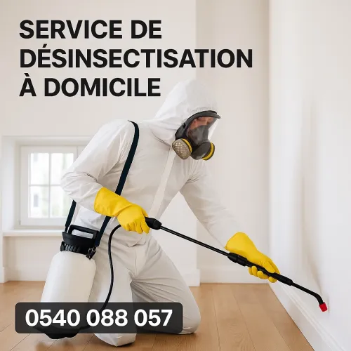 Élimination cafards