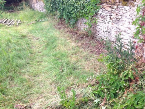 défrichage, nettoyage de jardin - rapide propre efficace 