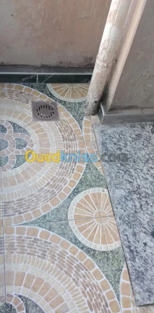 متخصص في جميع انواع التبليط ذو خبرة carreleur professionnel 