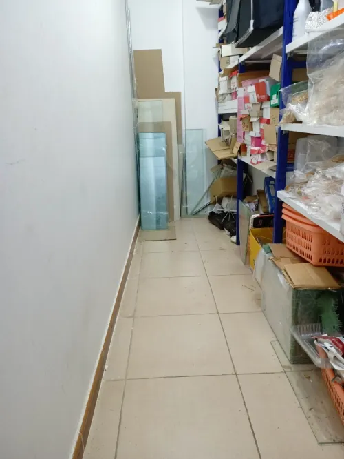 Vente Local Sidi bel abbes Sidi bel abbes