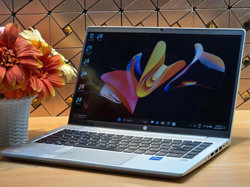 HP PROBOOK 440 G10/INTEL I5-1335U/ram 16gb DDR4/256GB ssd/ intel iris xe graphique/ecran 14 TACTILE