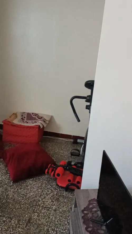 Vente Appartement F3 Blida Ouled yaich
