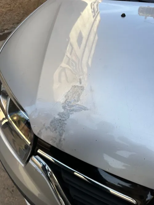 Renault Symbol 2017 Extrême