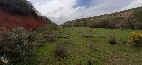 Vente Terrain Tlemcen Ain fezza