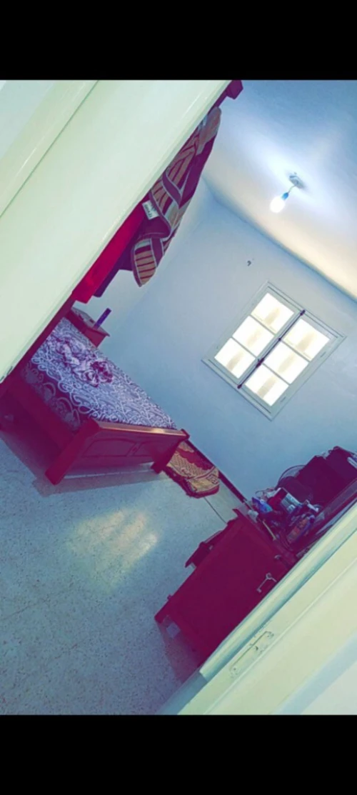 Location Appartement F3 Alger Les eucalyptus