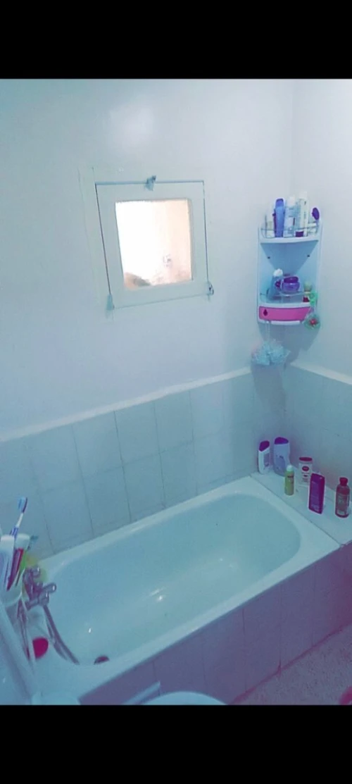 Location Appartement F3 Alger Les eucalyptus