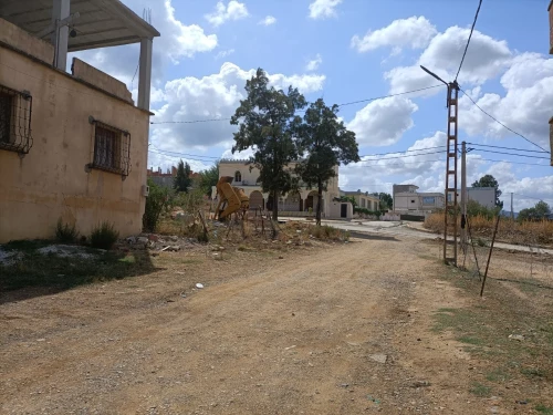 Vente Terrain El Tarf El taref