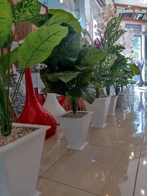 Plant artificial أشجار الزينة الصناعية 
