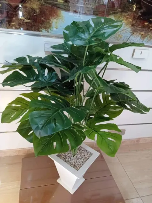 Plant artificial أشجار الزينة الصناعية 