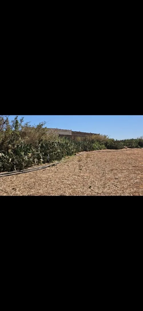 Vente Terrain Mostaganem Sidi lakhdaara