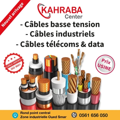 Câble BT basse tension كابل