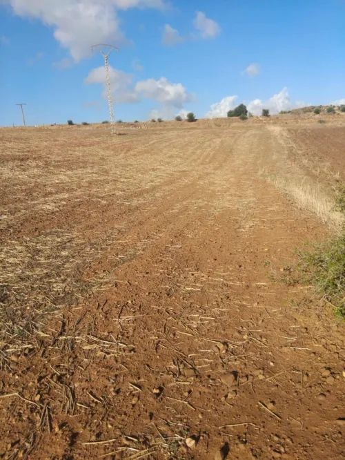 Vente Terrain Aïn Defla Djendel