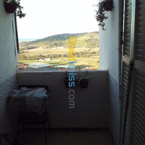 Vente Appartement F3 Tipaza Douaouda