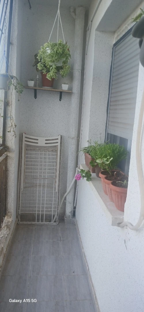Vente Appartement F3 Alger Mahelma