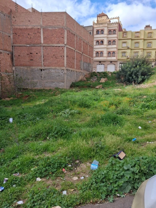 Vente Terrain Tlemcen Maghnia