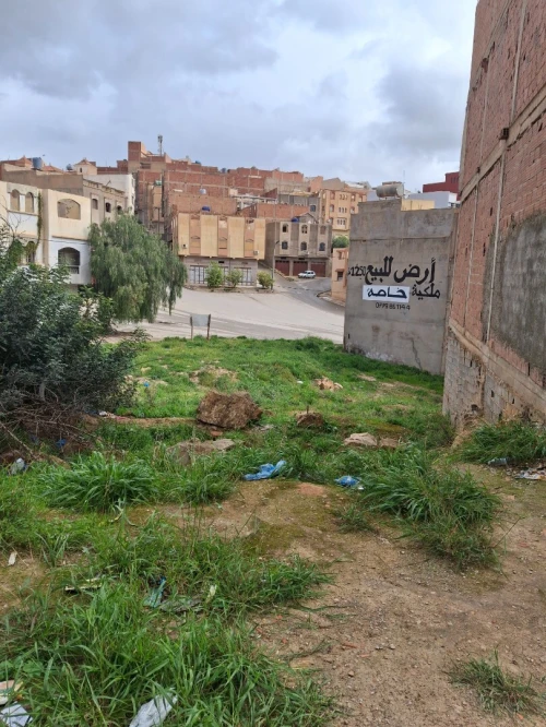 Vente Terrain Tlemcen Maghnia
