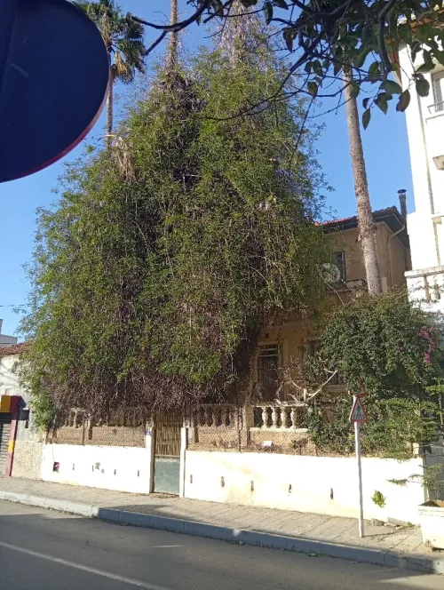 Vente Villa Alger El harrach