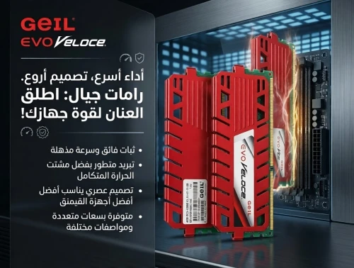 ام البواقي