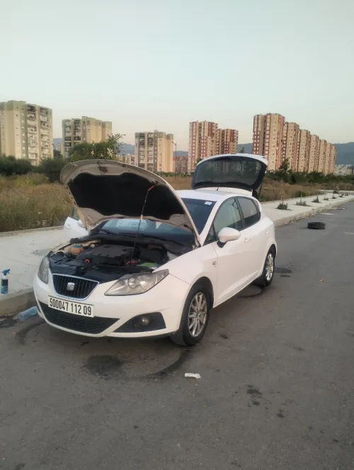 Seat Ibiza 2012 Loca