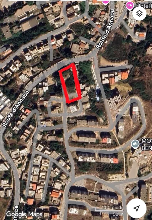 Vente Terrain El Tarf El kala