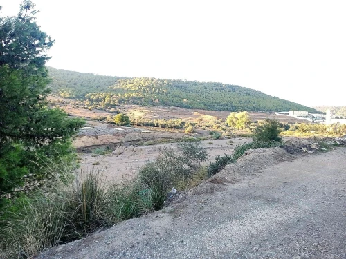 Vente Terrain Tipaza Cherchell