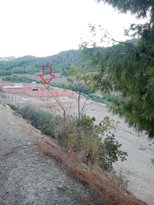 Vente Terrain Tipaza Cherchell