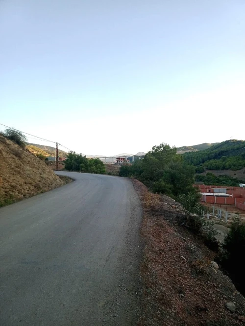 Vente Terrain Tipaza Cherchell
