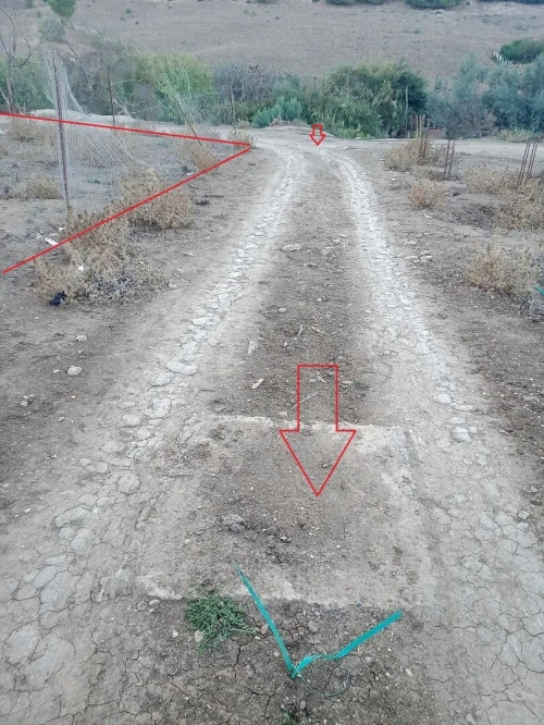 Vente Terrain Tipaza Cherchell