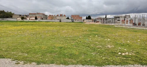 Vente Terrain Sétif Guidjel