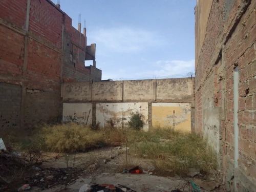 Vente Terrain Blida Blida