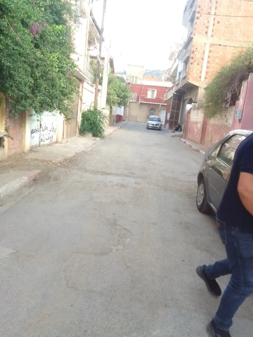 Vente Terrain Blida Blida