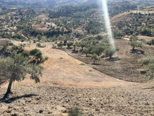 Vente Terrain Agricole Béjaïa Seddouk