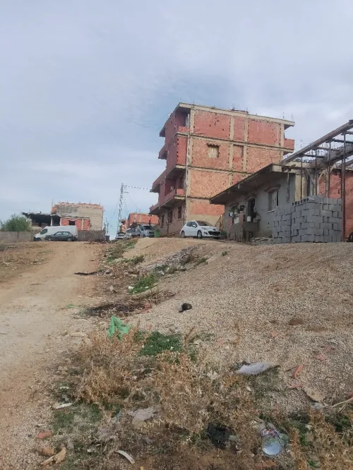 Vente Terrain Alger Reghaia