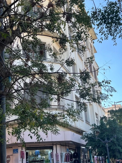 Vente Appartement F3 Sidi Bel Abbès Sidi bel abbes