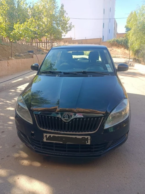 Skoda Fabia 2014 Visage
