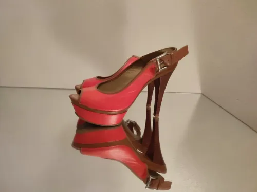 Talon MINELLI