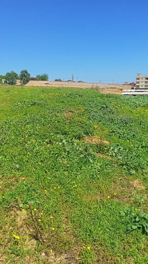 Vente Terrain Boumerdès Ouled moussa