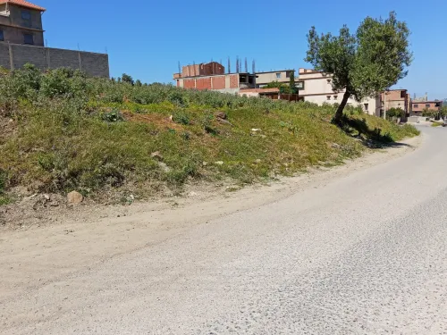 Vente Terrain Boumerdès Larbatache