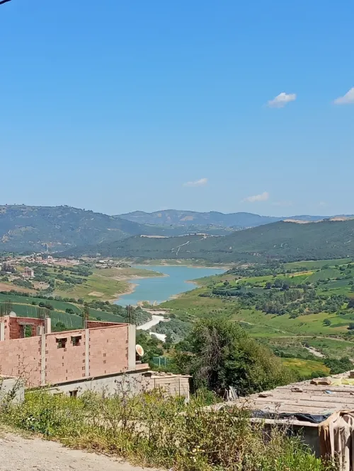 Vente Terrain Boumerdès Larbatache