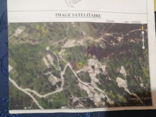 Vente Terrain Béjaïa Tibane