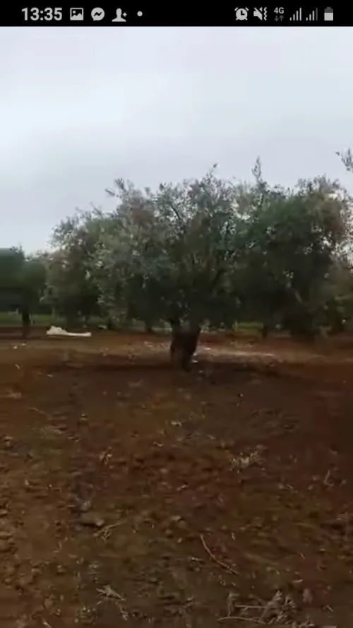 Vente Terrain Agricole Djelfa Ain oussara