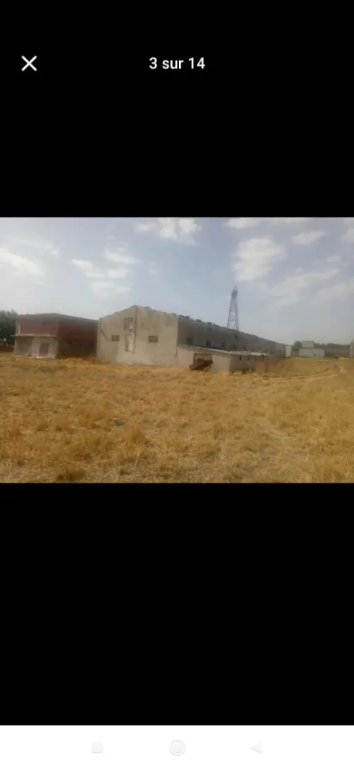 Location Terrain Agricole Mila Tadjenanet