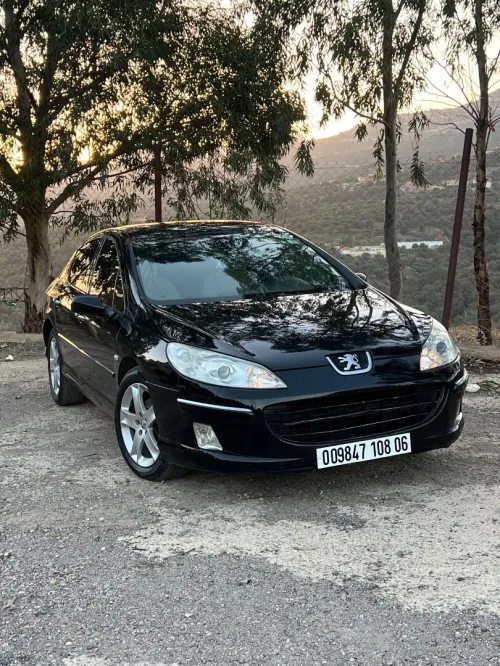 Peugeot 407 2008 407