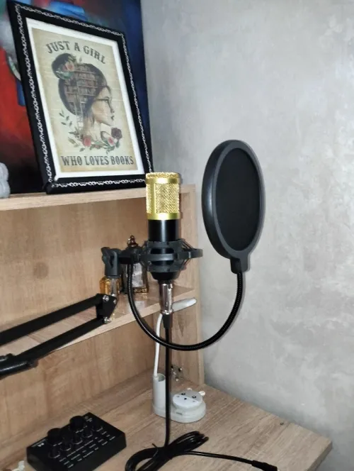 Micro BM800 neuf + accessoires (qualité pro)