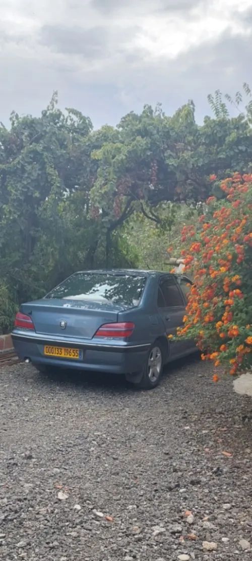 Peugeot 406 1996 