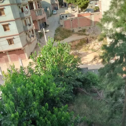 Vente Terrain Alger Saoula