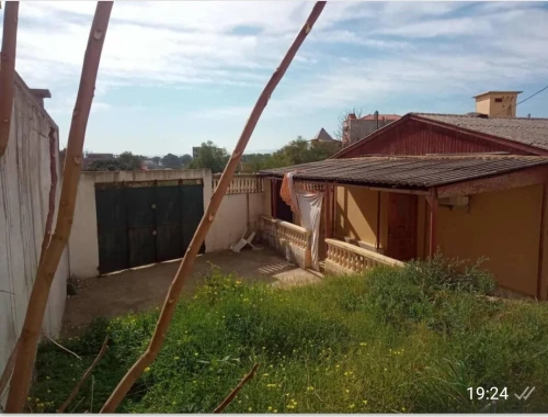 Vente Terrain Skikda Skikda