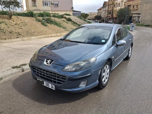 Peugeot 407 2005 407