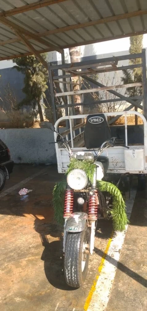 VMS 12 " 2024